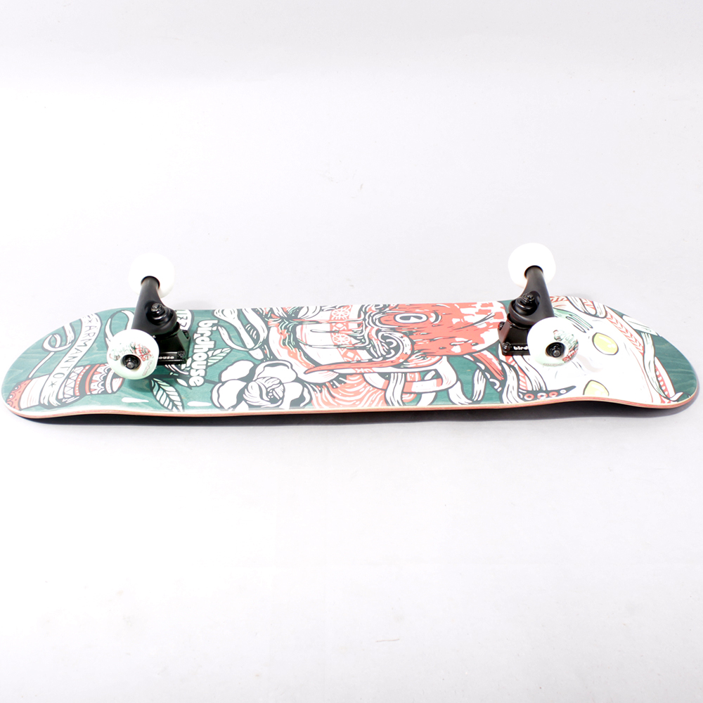 Birdhouse Armanto Favorites  Complete Skateboard