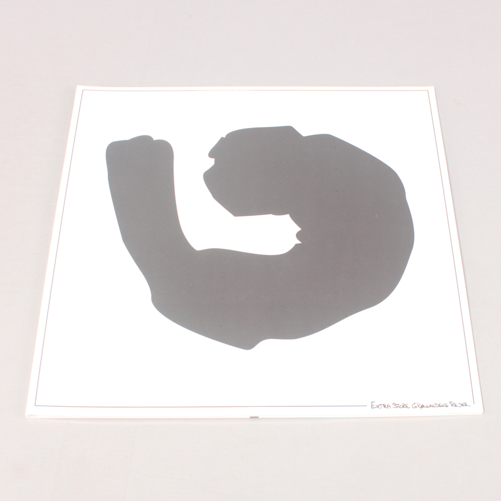 ESGR Vejen Hjem/Vejen Ud Vinyl Album