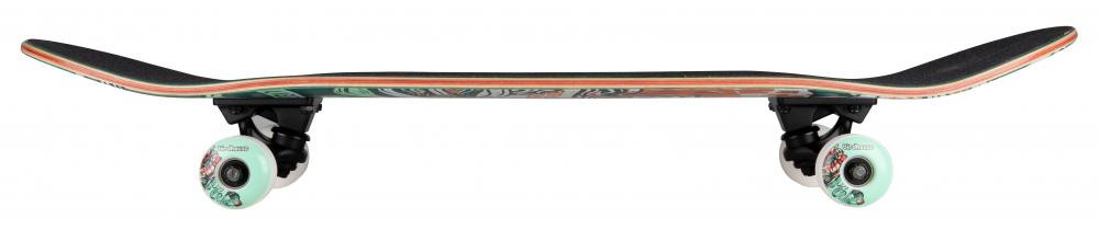 Birdhouse Armanto Favorites  Complete Skateboard