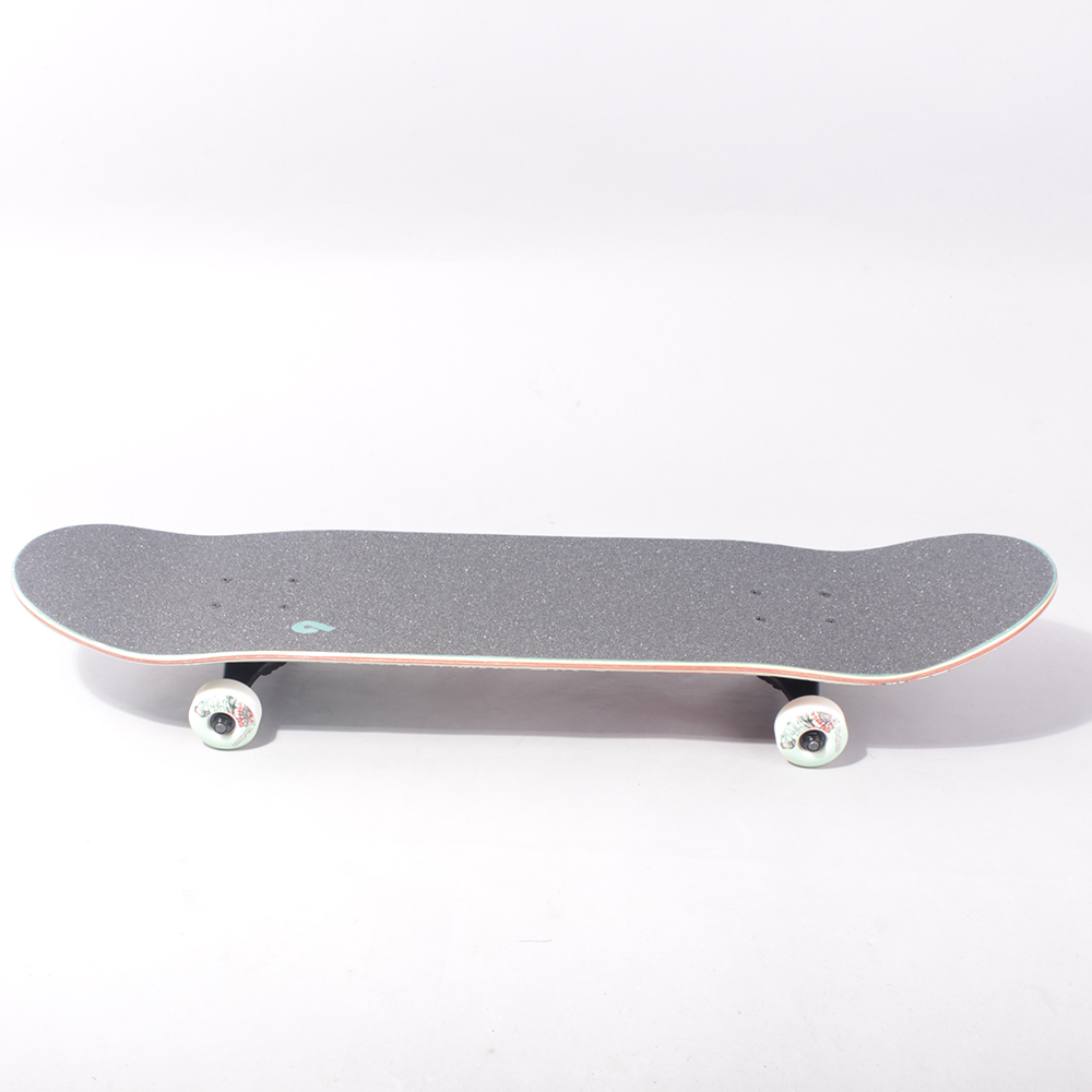 Birdhouse Armanto Favorites  Complete Skateboard