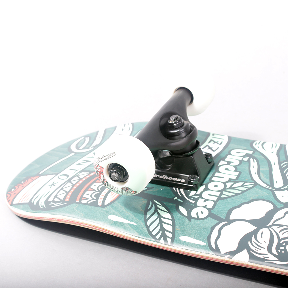 Birdhouse Armanto Favorites  Complete Skateboard