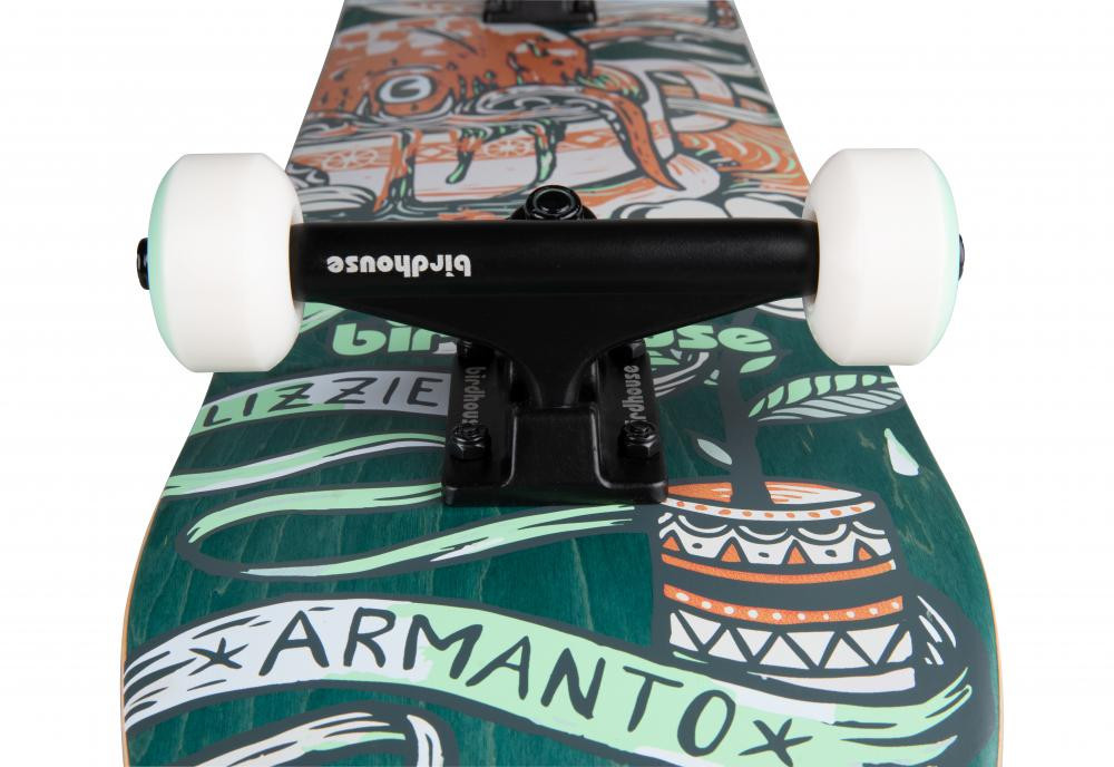 Birdhouse Armanto Favorites  Complete Skateboard